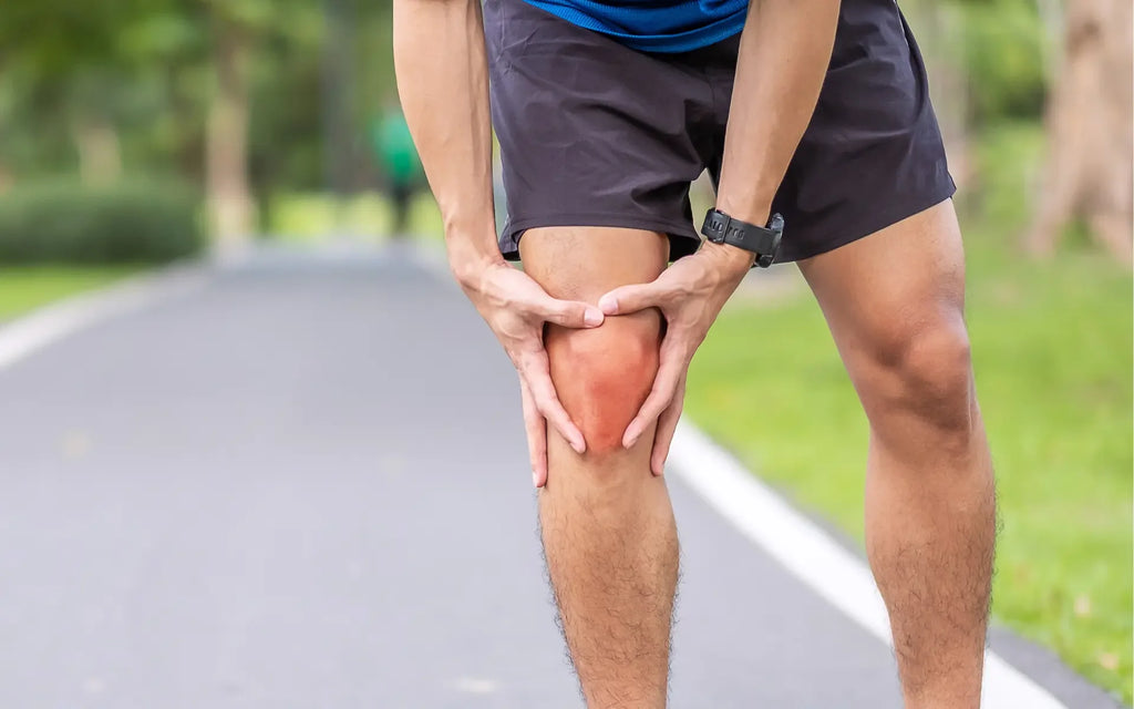 Real Users Share Their Joint Health Success Stories