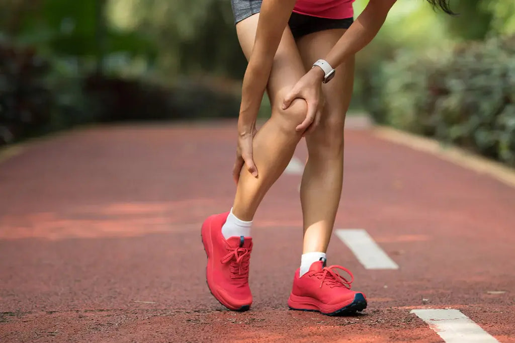 The Science Behind Inflammation and Cartilage Degradation: New Insights for Joint Health