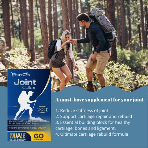 Joint Collax Shark Cartilage Rebuild Formula