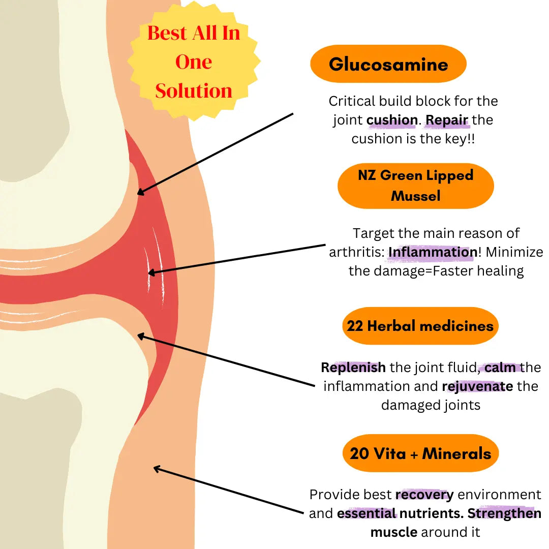 The Joint Solution-Comprehensive joint Coverage Yuregen