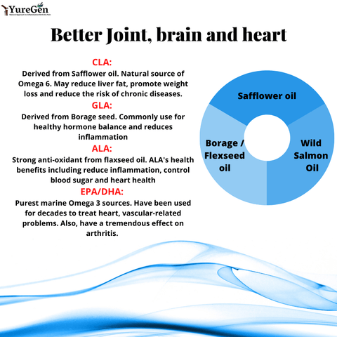 EFA Joint Omega - Yuregen