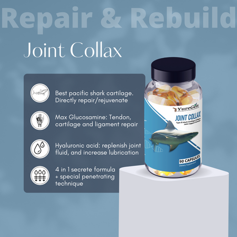 Joint Collax Shark Cartilage Rebuild Formula