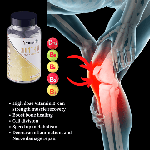 The JointX B- Ultra Joint B Complex - Yuregen