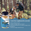 Joint Collax Shark Cartilage Rebuild Formula