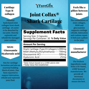 Complete Pain-Free Bundle Yuregen