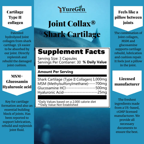 Complete Pain-Free Bundle Yuregen